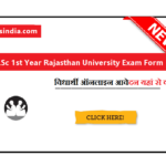 B.Sc 1st Year Rajasthan University