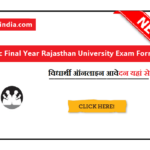 B.Sc 3rd Year Rajasthan University Exam