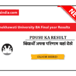 PDUSU BA Final Year Result