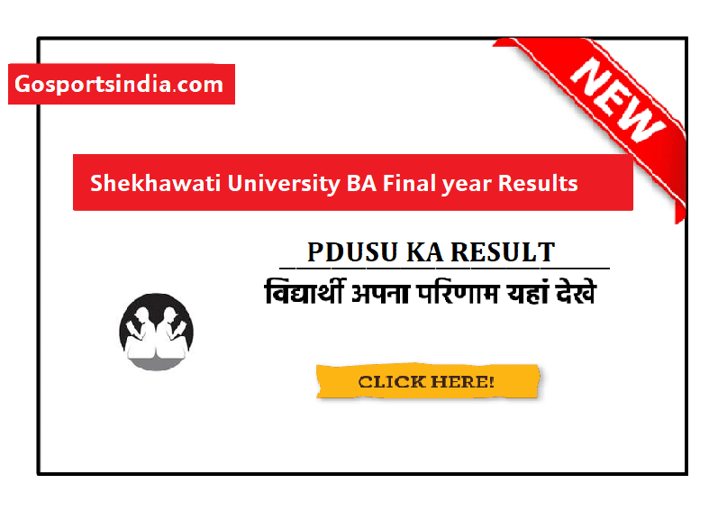 PDUSU BA Final Year Result