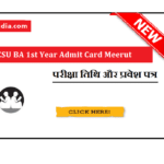 CCSU BA 1st Year Admit Card