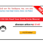 CCSU BA Final Year Exam Form