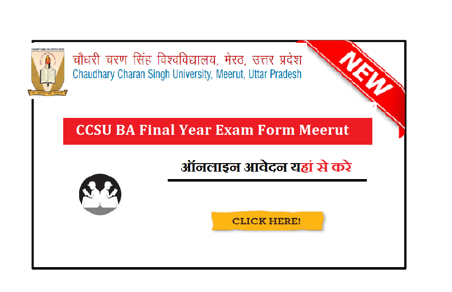 CCSU BA Final Year Exam Form