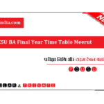 CCSU BA Final Year Time Table