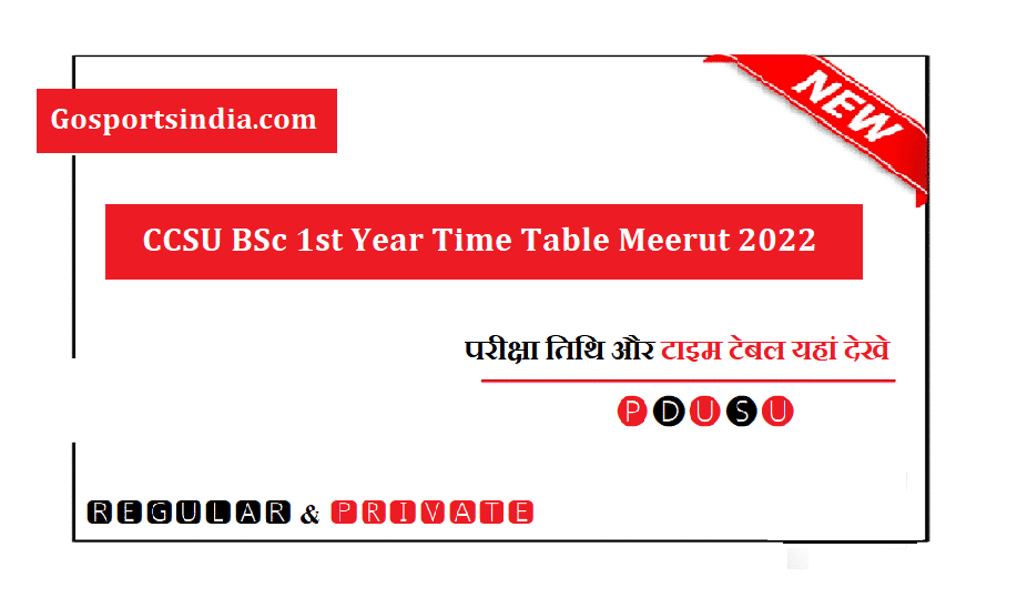 CCSU BSc 1st Year Time Table