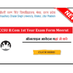 CCSU B.Com 1st Year Exam Form