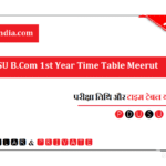 CCSU B.Com 1st Year Time Table