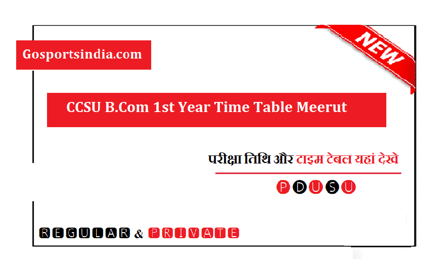 CCSU B.Com 1st Year Time Table