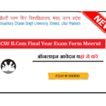 CCSU B.Com Final Year Exam Form