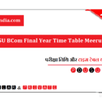 CCSU B.Com Final Year Time Table