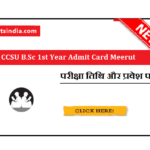 CCSU B.Sc 1st Year Admit Card