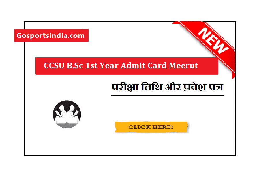 CCSU B.Sc 1st Year Admit Card