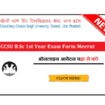 CCSU B.Sc 1st Year Apply Online Exam Form