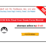 CCSU B.Sc Final Year Exam Form