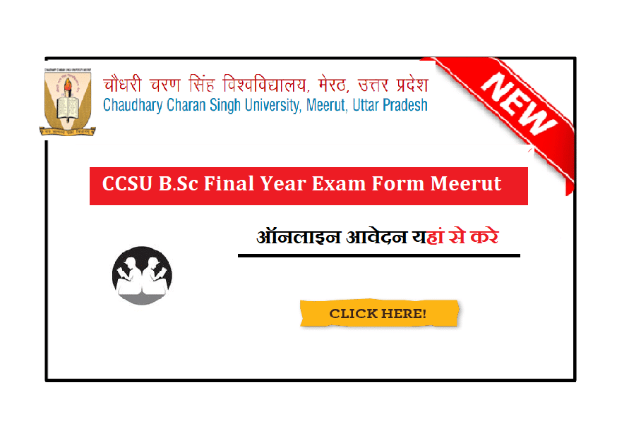 CCSU B.Sc Final Year Exam Form