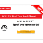 CCSU B.Sc Final Year Result