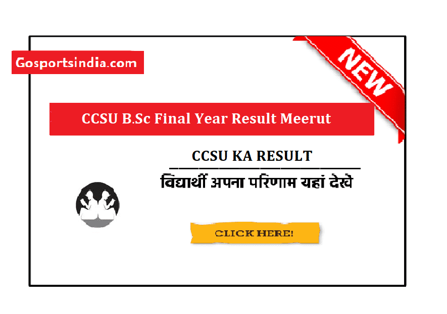 CCSU B.Sc Final Year Result