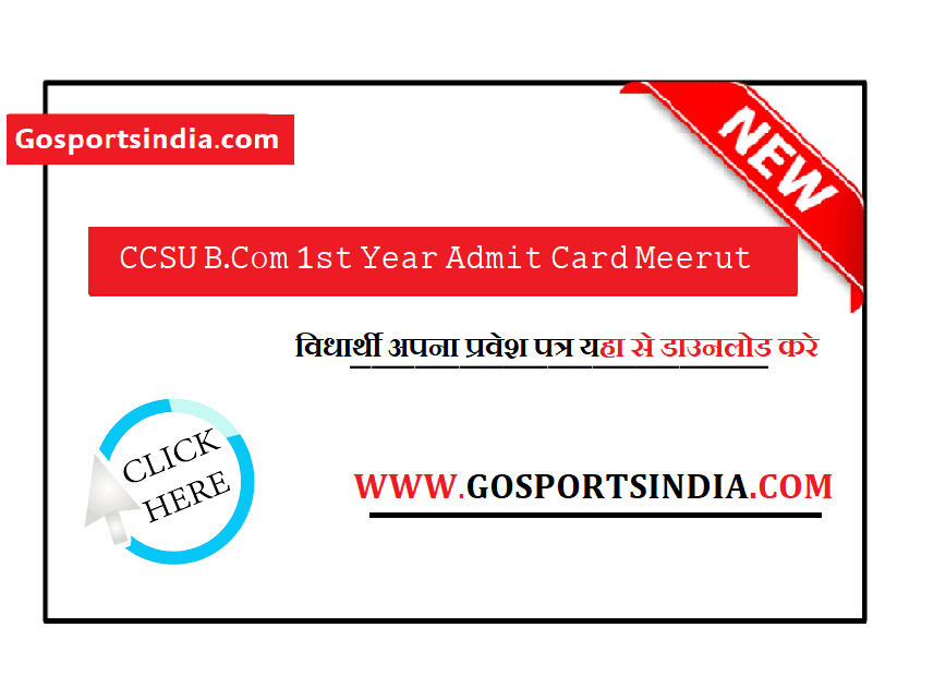 CCSU B.Com 1st Year Admit Card