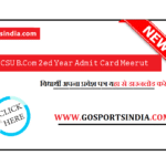 CCSU B.Com 2ed Year Admit Card