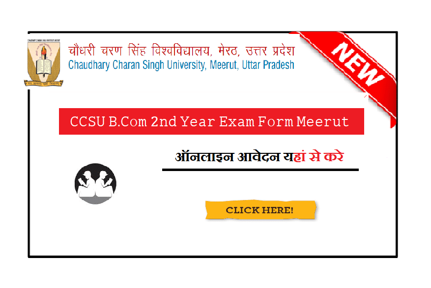 CCSU B.Com 2nd Year Exam Form Meerut 2023