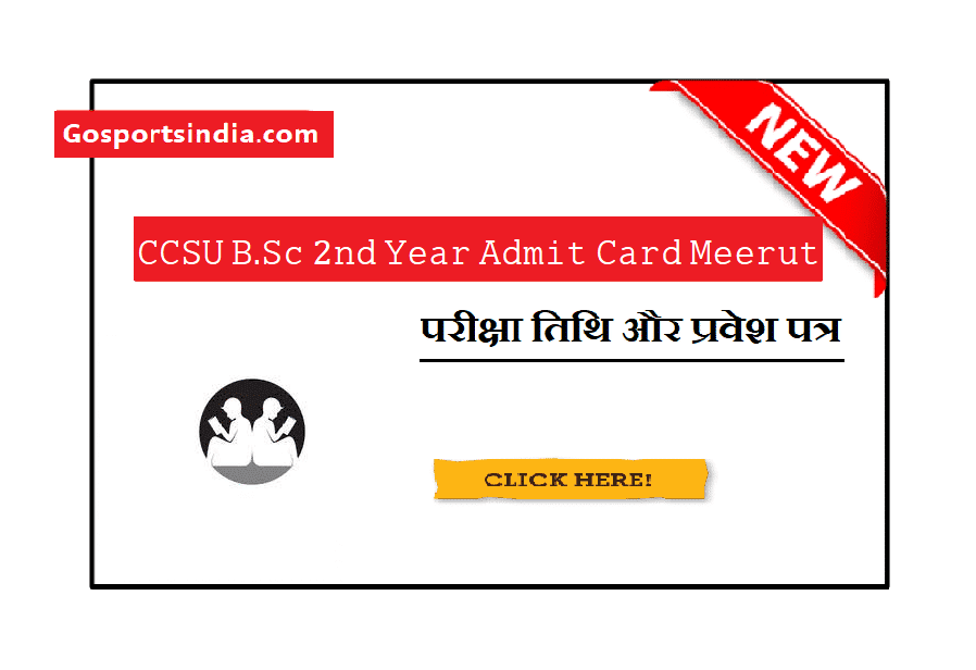 CCSU B.Sc 2nd Year Admit Card