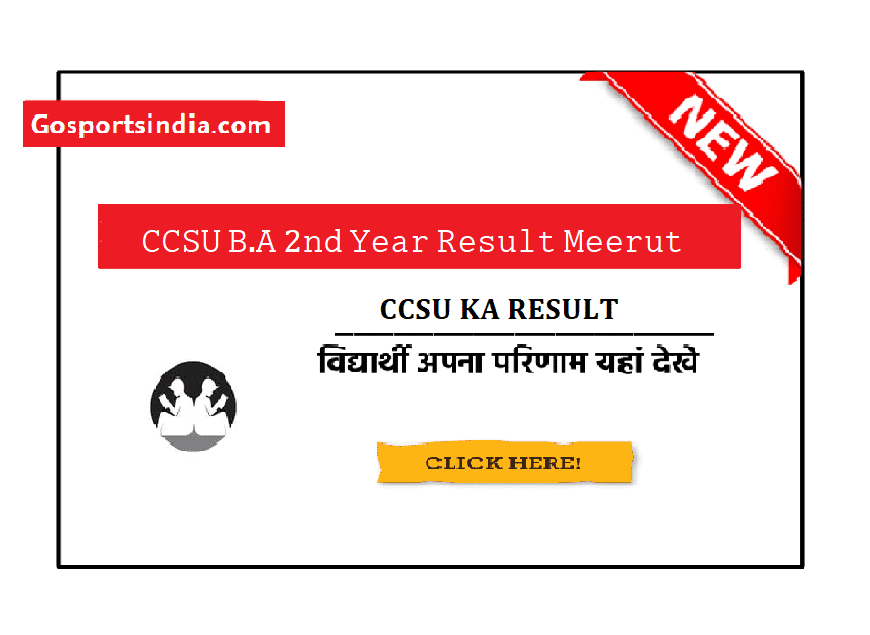 CCSU BA 2nd Year Result Meerut 2024 | Private & Regular