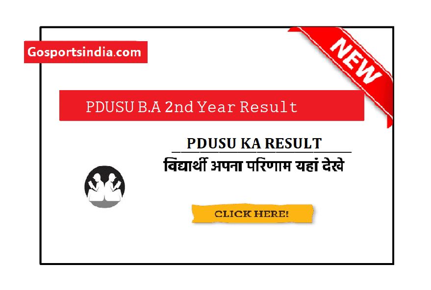 PDUSU BA 2nd Year Result