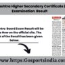 Maharashtra Board Examination Result 2023