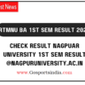 RTMNU BA 1st Sem Result