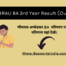 DBRAU BA 3rd Year Result